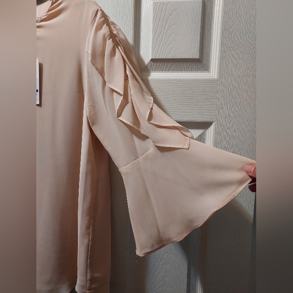 Calvin Klein Blouse Top w/ Ruffle Sleeves in a Blush Pink color - Picture 3 of 3
